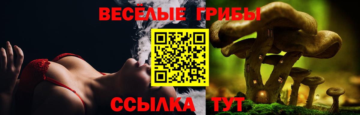 Галлюциногенные грибы GOLDEN TEACHER Углич