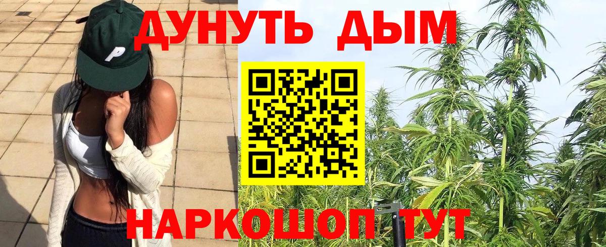 МАРИХУАНА планчик  Бошки Шишки SATIVA & INDICA  Углич  Вход с VPN 